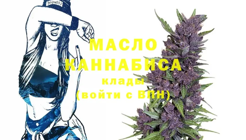 MEGA вход  цена наркотик  Советская Гавань  ТГК гашишное масло 